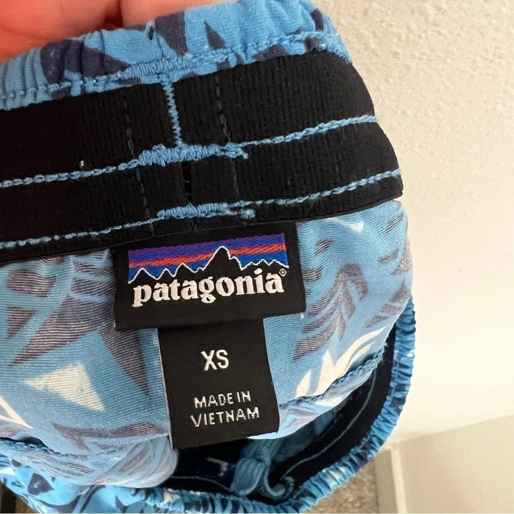 Patagonia Baggies Shorts